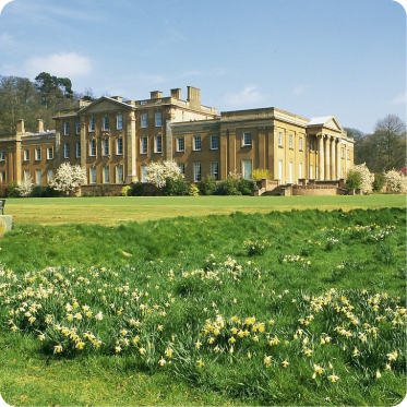 based in himley | Bee Your Accountant